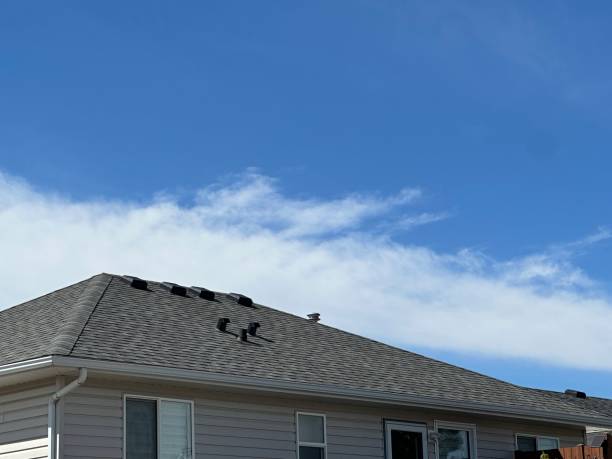 Best Asphalt Shingle Roofing  in Greendale, WI